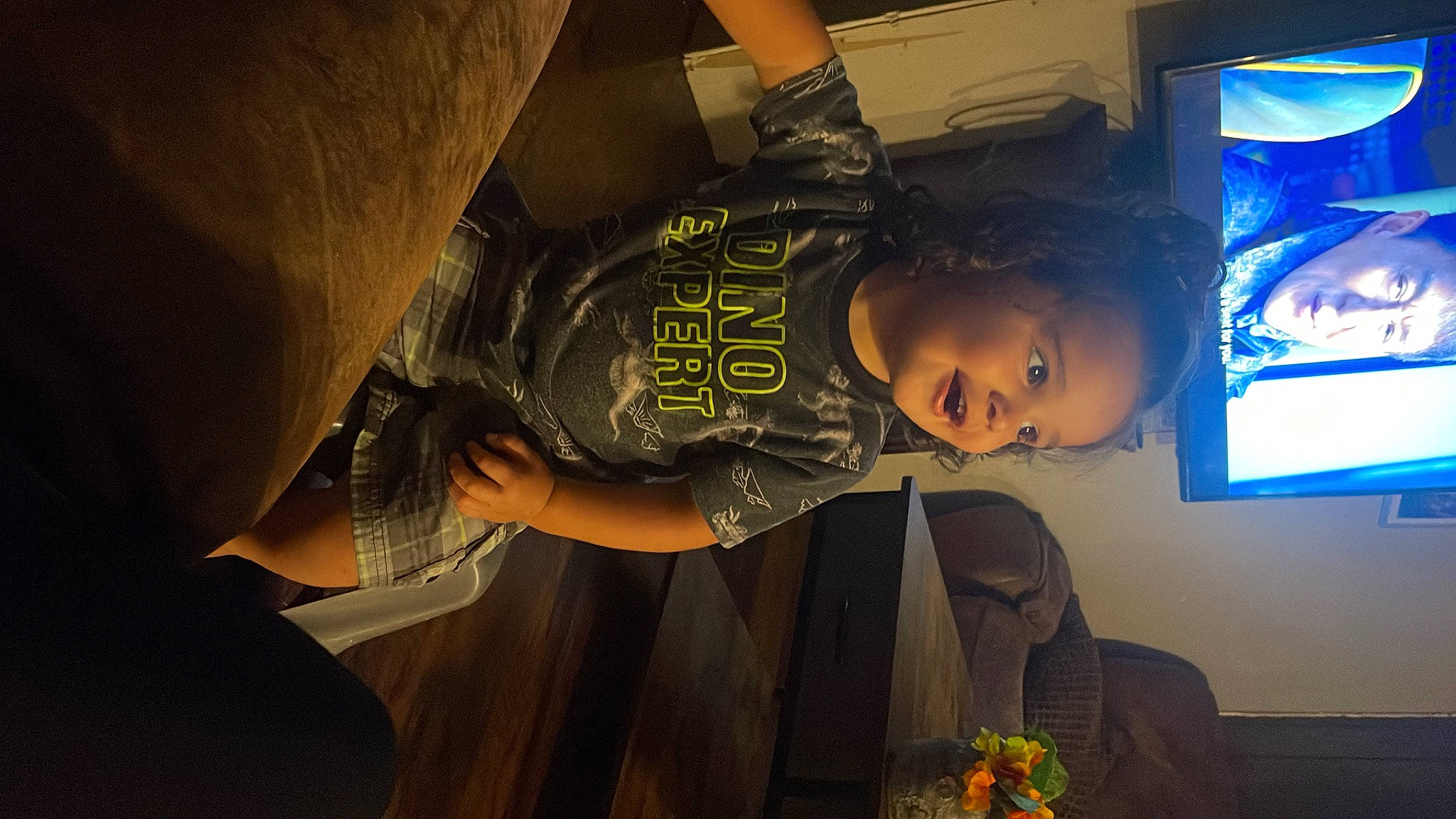 Elias joined the competition — help win amazing prizes! ceiling, child, elbow, event, flash_photography, flooring, fun, houseplant, person, plant, room, sky, smile, space, t_shirt, television_set, toddler, tree, visual_arts, world