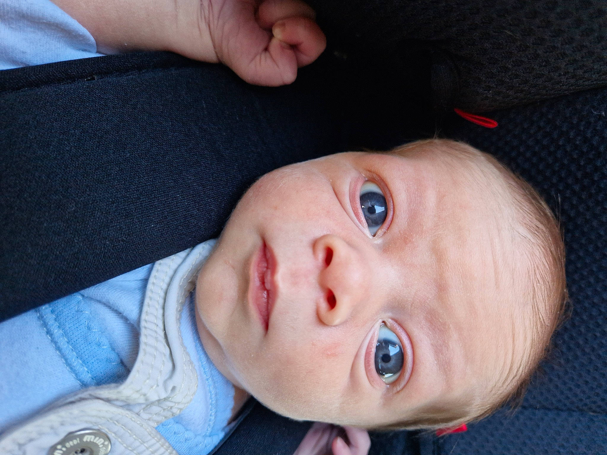 Ayden participe au concours pour gagner de l'argent avec cette photo : baby, baby_toddler_clothing, cheek, child, collar, comfort, electric_blue, eyebrow, eyelash, face, human_body, iris, lip, nail, no_expression, nose, person, skin, sleeve, thumb