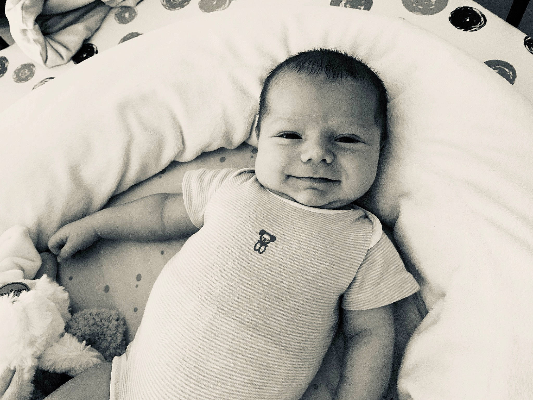 Nolan participe au concours pour gagner de l'argent avec cette photo : baby, baby_products, birth, black, black_and_white, cheek, child, eye, face, happy, head, joy, monochrome, nose, person, photograph, product, skin, smile, snapshot