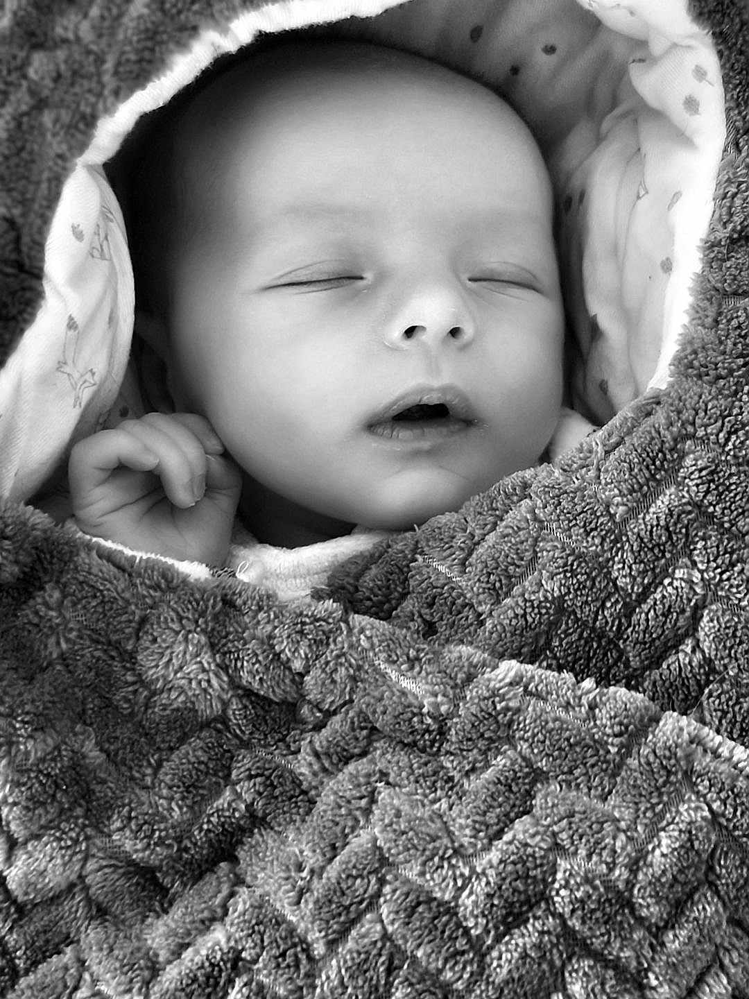 Seven participe au concours pour gagner de l'argent avec cette photo : baby, black_and_white, blanket, child, closeup, cozy, cute, face, hand, infant, monochrome, newborn, peaceful, portrait, resting, sleeping, soft_texture, toddler, warm, wrapped