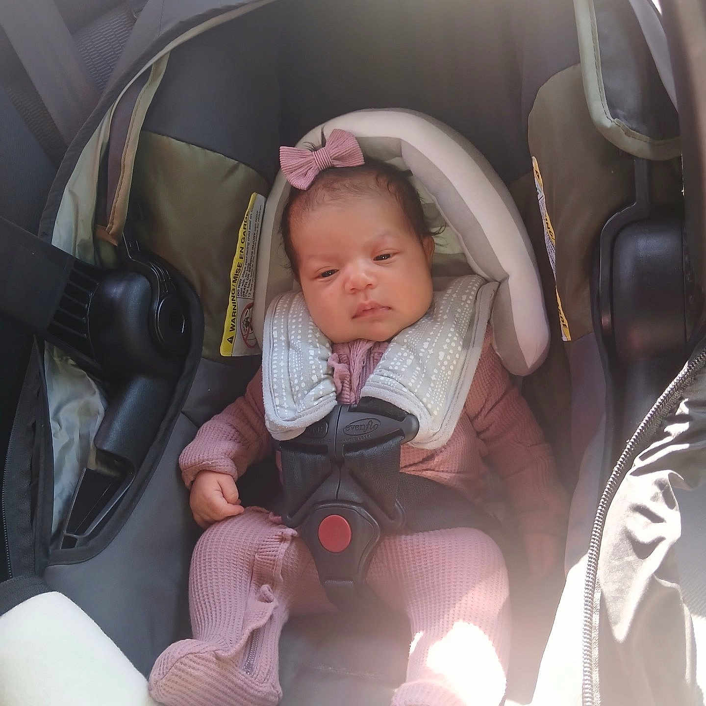 Alandra is registered to the contest to win money with this photo: baby, bow, car_interior, car_seat, cute, eyes, face, five_point_harness, foot, hand, head_support, infant, newborn, onesie, pink_outfit, portrait, safety_label, seat, shadow, sunlight