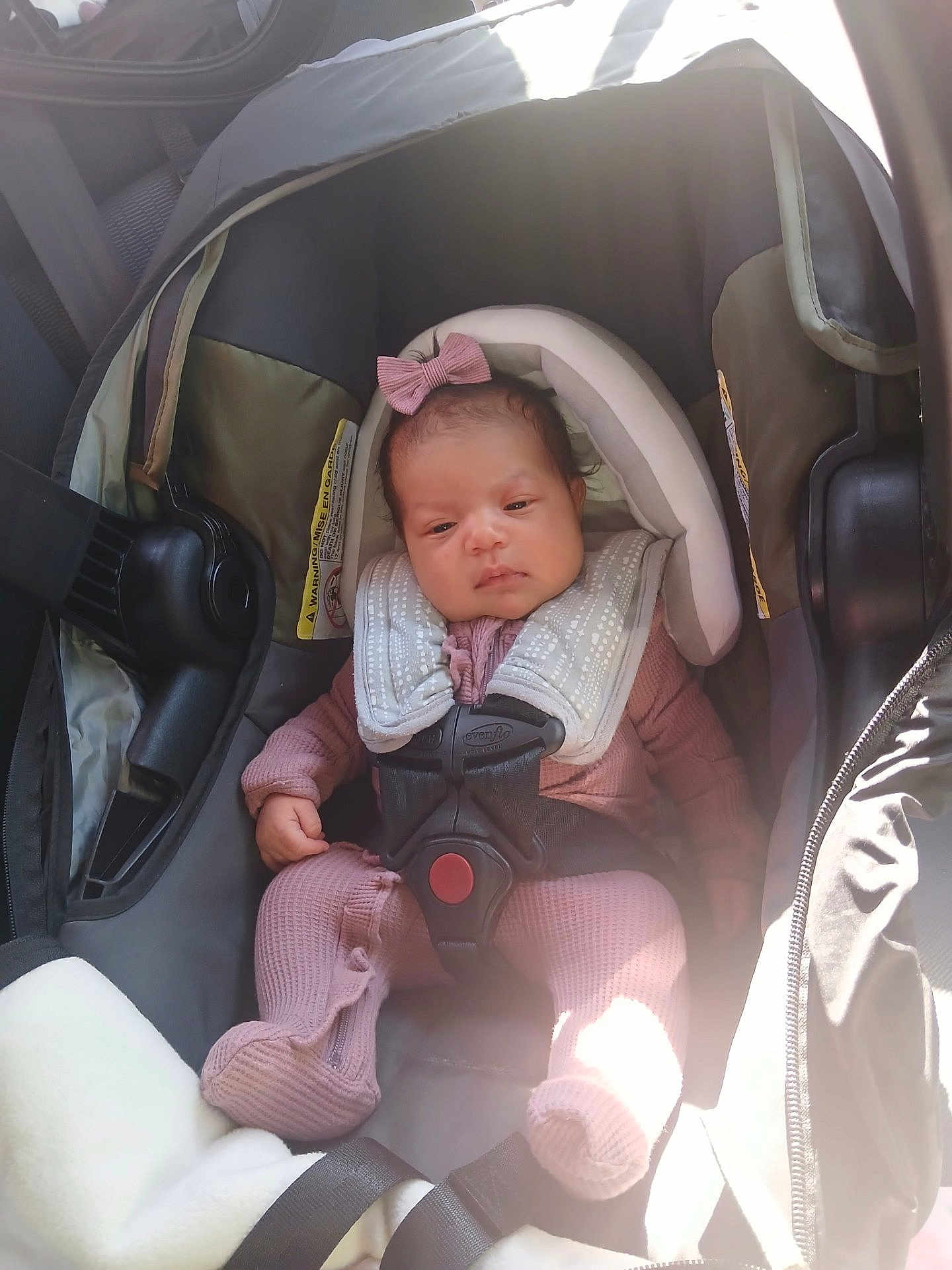 Alandra is registered to the contest to win money with this photo: infant, baby, car_seat, five_point_harness, bow, pink_outfit, onesie, newborn, car_interior, sunlight, shadow, seat, head_support, safety_label, hand, foot, face, eyes, portrait, cute