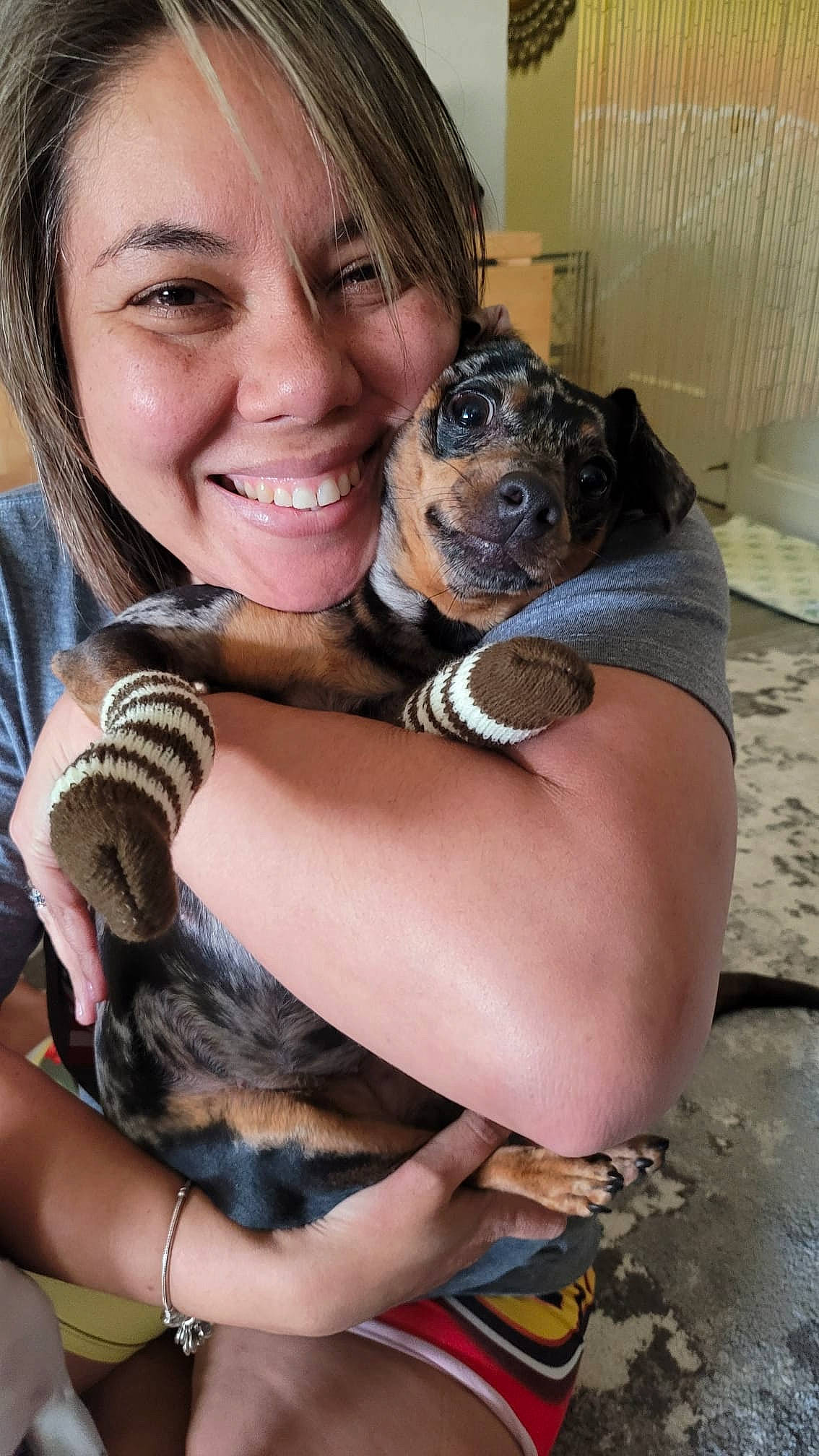 Samba Rocha is registered to the contest to win money with this photo: black_hair, canidae, carnivore, chest, companion_dog, dog, dog_breed, eye, fawn, happy, human_leg, organ, skin, smile, snout, sporting_group, thigh, toy_dog, trunk, vertebrate