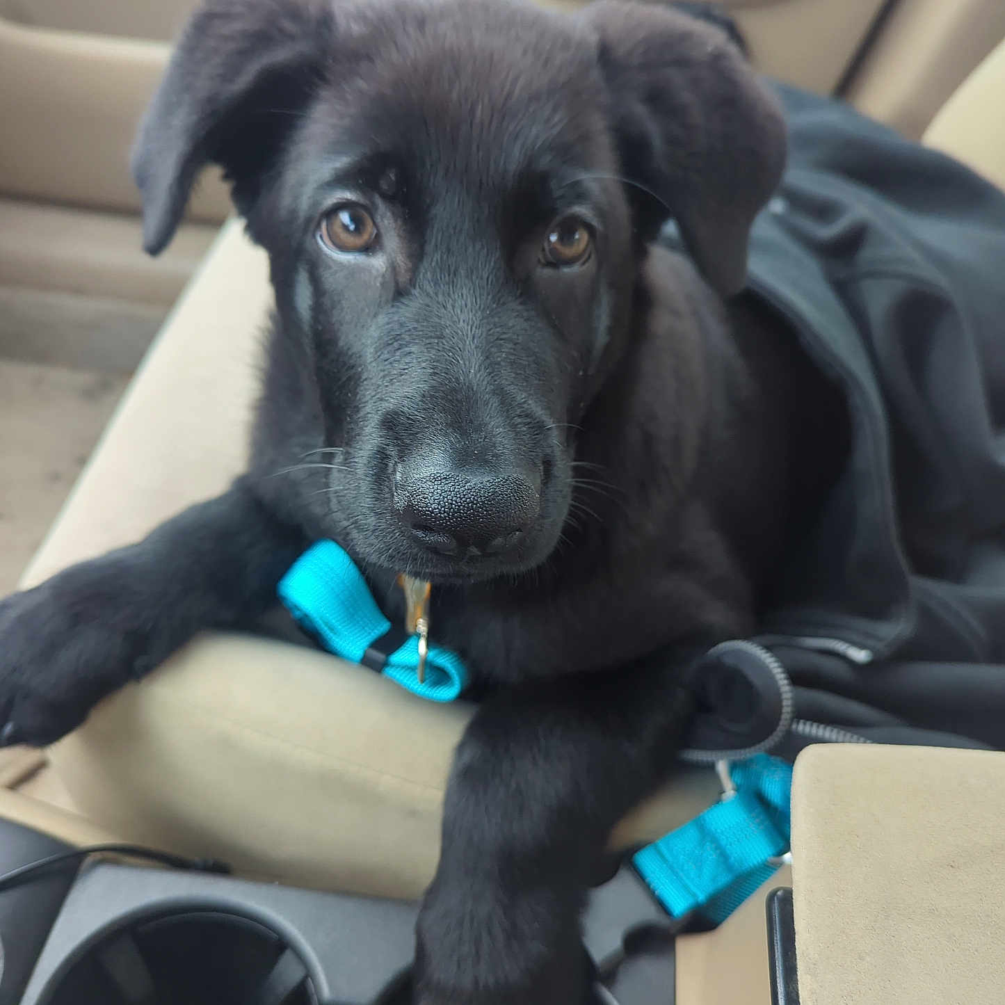 Odin James
