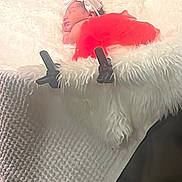 Loyalty joined the competition — help win amazing prizes! baby, newborn, infant, sleeping, headband, bow, red_dress, white_fur, blanket, bedding, studio_prop, clamps, soft_texture, cozy, portrait, cute, fabric, throw, couch, indoors