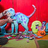 Yoshi is registered to the contest to win money with this photo: cat, person, man, halloween, costume, colorful, blue, purple, red, candy, sweets, pumpkin, jack_o_lantern, plush_toy, monster, indoor, wooden_wall, floor, pet, funny
