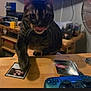 action, card_game, cat, close_up, controller, electronics, fan, furniture, game_cards, home, indoor, pets, playing, remote_control, shelf, tabby_cat, table, television, tongue_out, wooden_table
