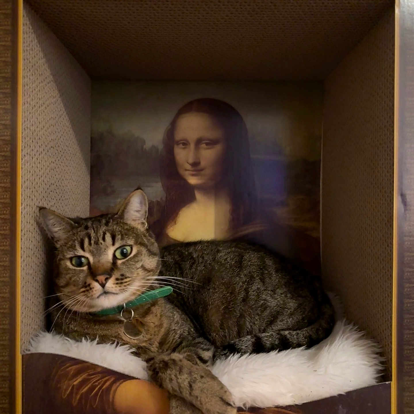Mona-Lisa