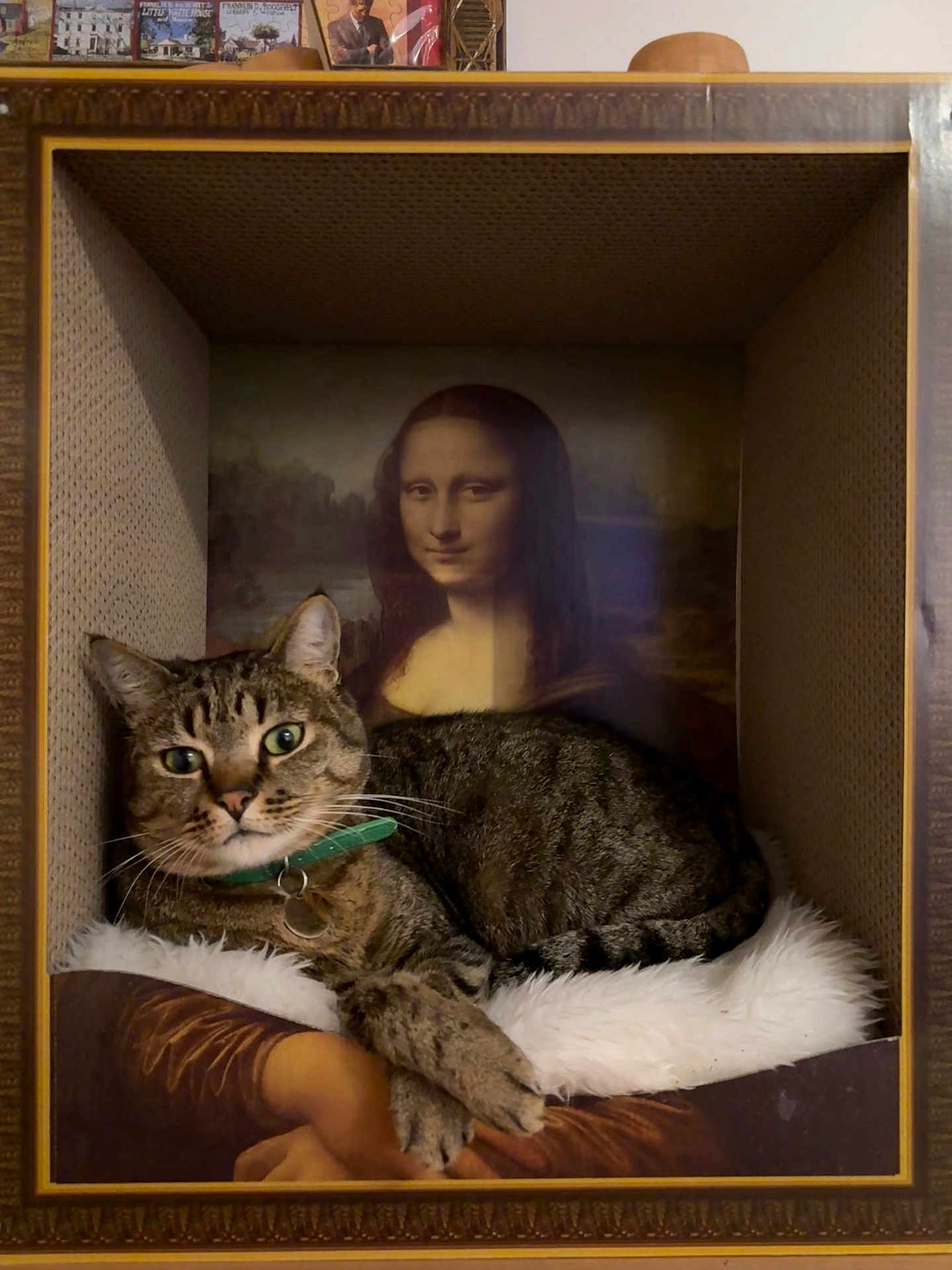 Mona-Lisa a rejoint le concours — aidez-le/la à gagner de superbes lots ! cat, tabby_cat, mona_lisa, painting, box, feline, portrait, art, framed_art, curious, relaxed, indoor, collar, furry, animal, pet, brown, green_eyes, whiskers, creative