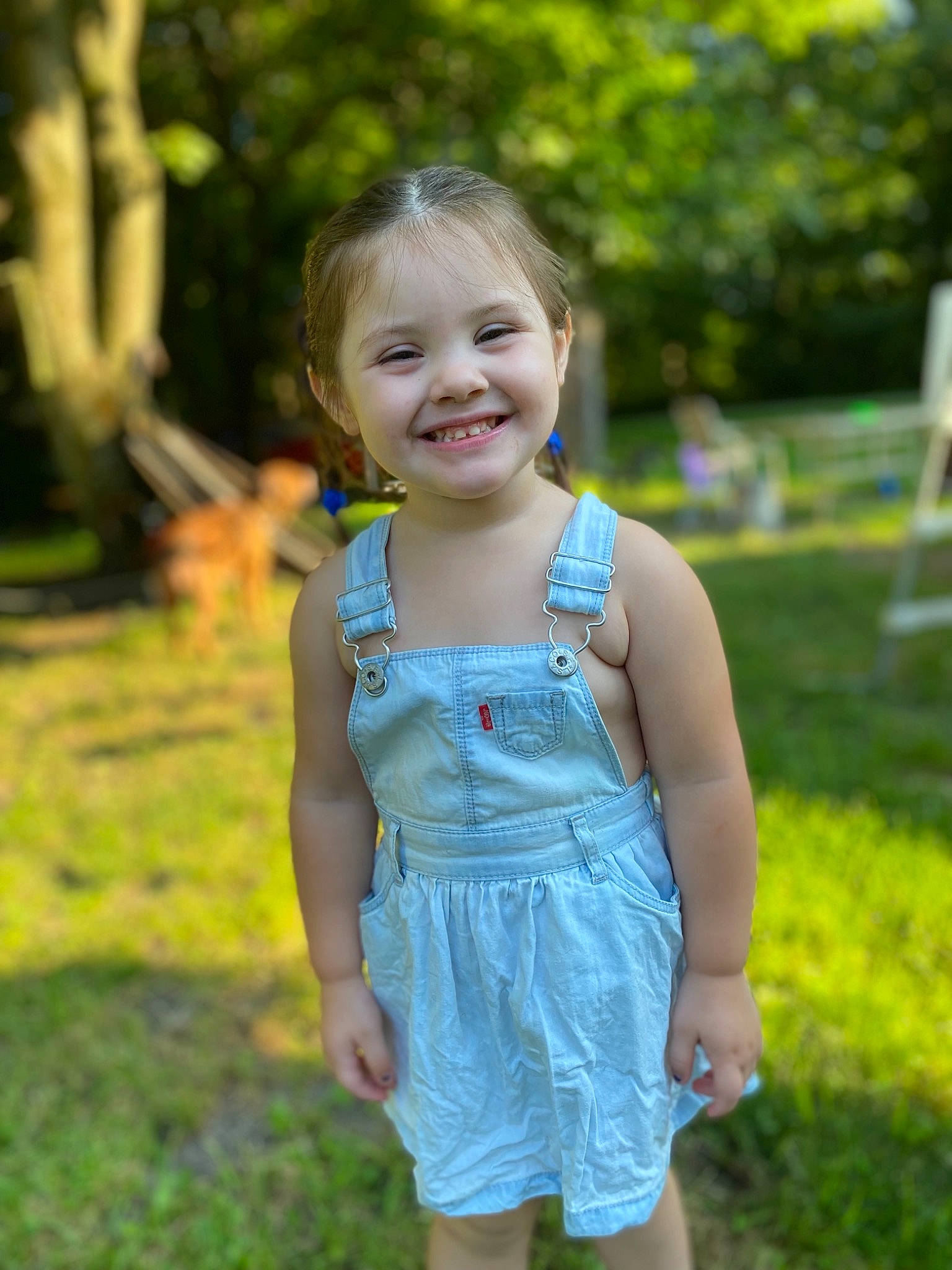 Anneliese Eve is registered to the contest to win money with this photo: baby_toddler_clothing, day_dress, dress, eye, face, fun, grass, hair, happy, head, iris, joy, leisure, meadow, natural_environment, people_in_nature, person, plant, smile, sunlight