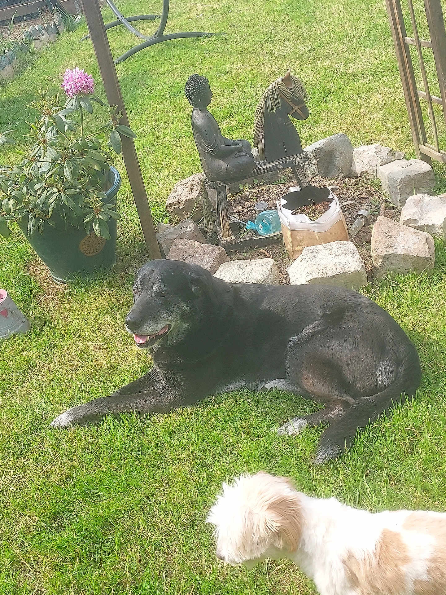 Arko