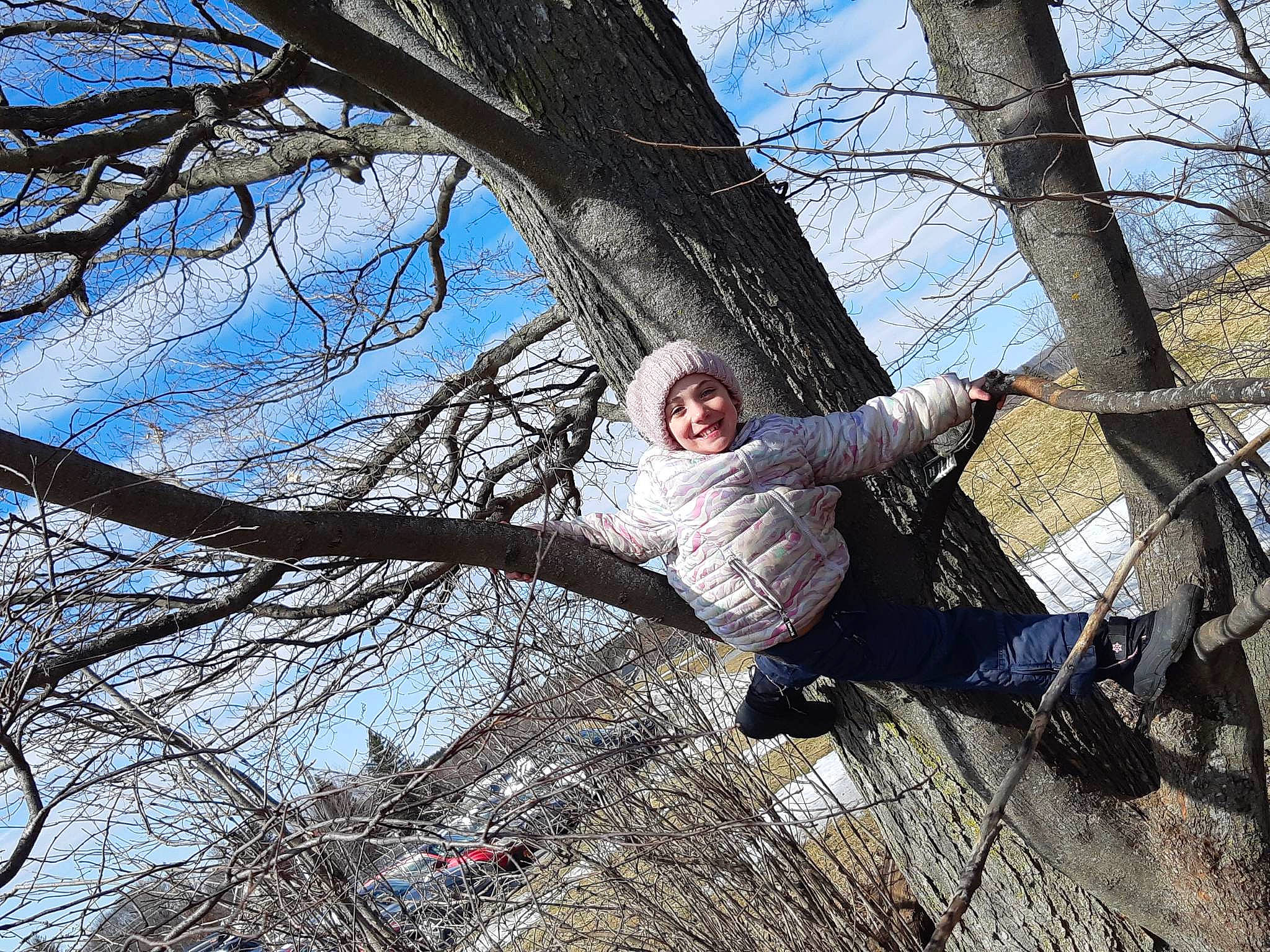 Malika participe au concours pour gagner de l'argent avec cette photo : cloud, deciduous, forest, fun, grass, happy, headwear, joy, leisure, people_in_nature, person, recreation, sitting, sky, soil, tree, trunk, twig, winter, wood