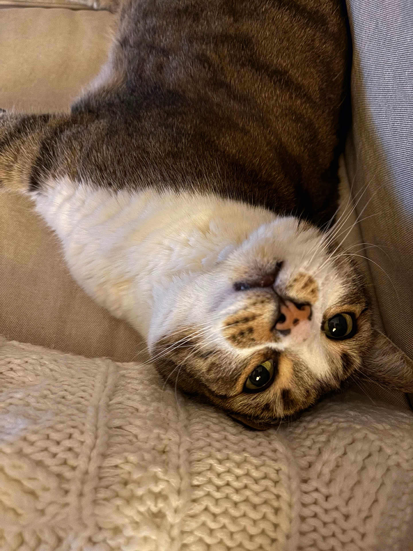 Lucy