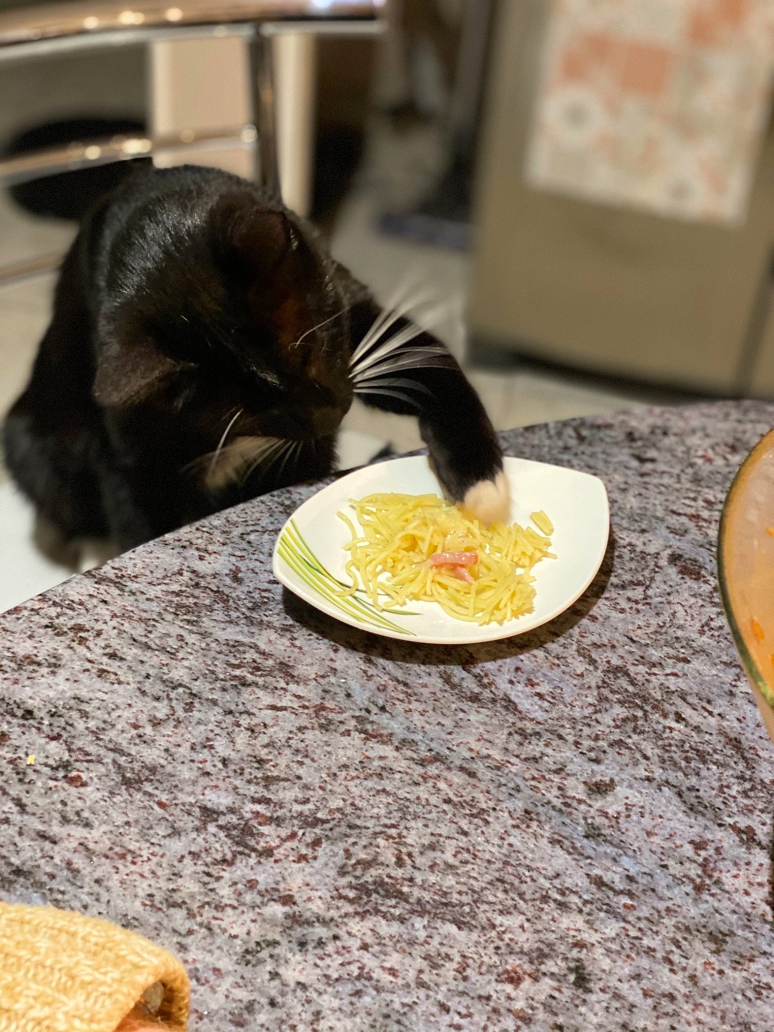 Astérix a rejoint le concours — aidez-le/la à gagner de superbes lots ! breakfast, cat, cuisine, dish, eating, felidae, food, fur, meal, side_dish, small_to_medium_sized_cats, table, vegetarian_food, whiskers