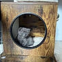 kitten, gray_cat, wooden_box, cubicle, pet, indoor, feline, cute, small, animal, cozy, soft_blanket, round_opening, curious, young, fur, home, resting, quiet, domestic