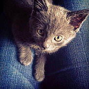 Luna participe au concours pour gagner de l'argent avec cette photo :