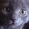 Luna participe au concours pour gagner de l'argent avec cette photo :