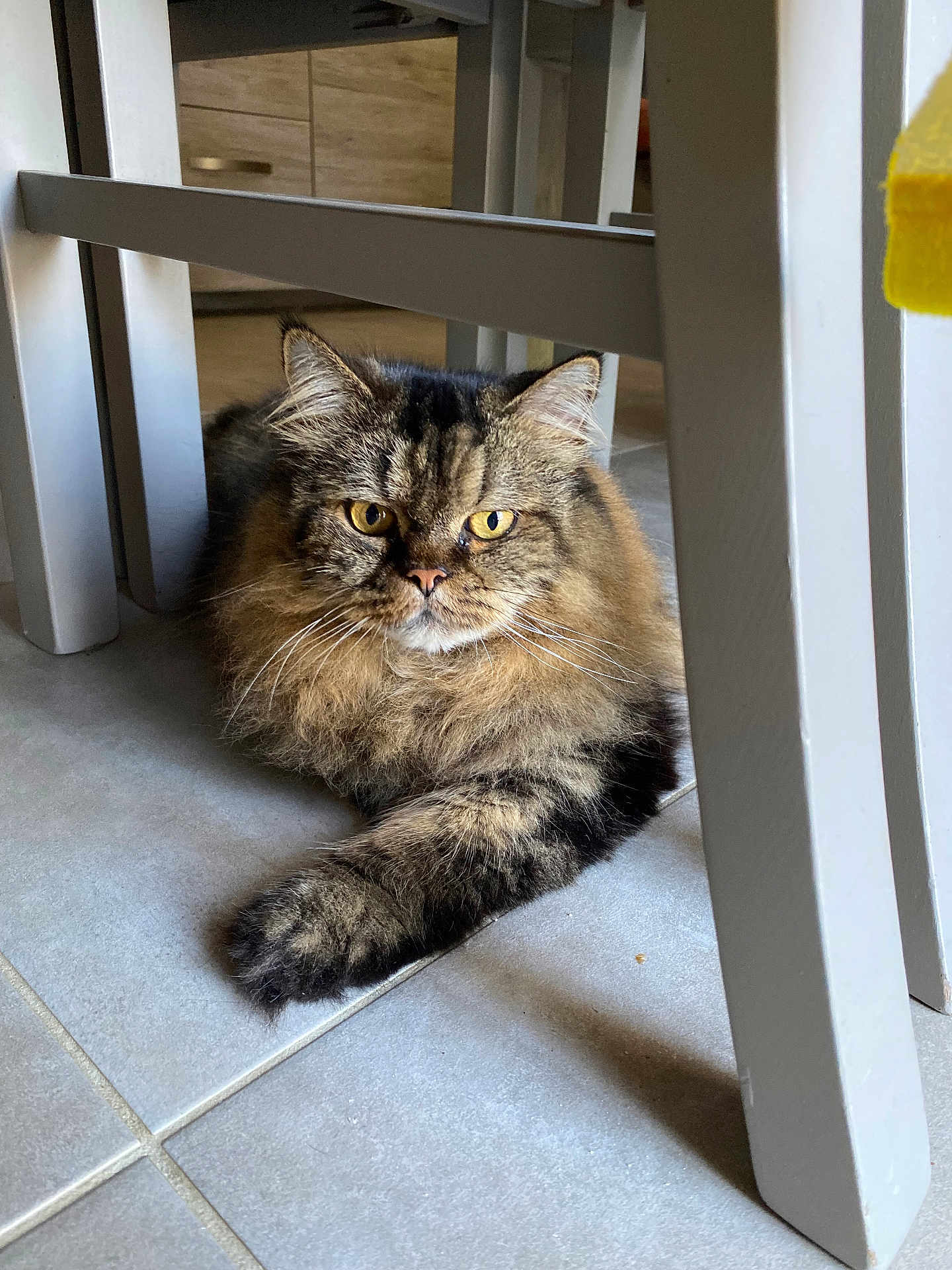Rossi