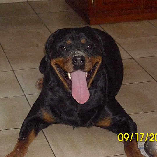 Xena