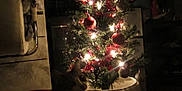 Gracie Mae is registered to the contest to win money with this photo: background, cat, celebration, christmas_tree, cozy, curious, dark, decorations, feline, festive, holiday, home, indoor, lights, ornaments, red, shadow, silver, timestamp, tree_stand
