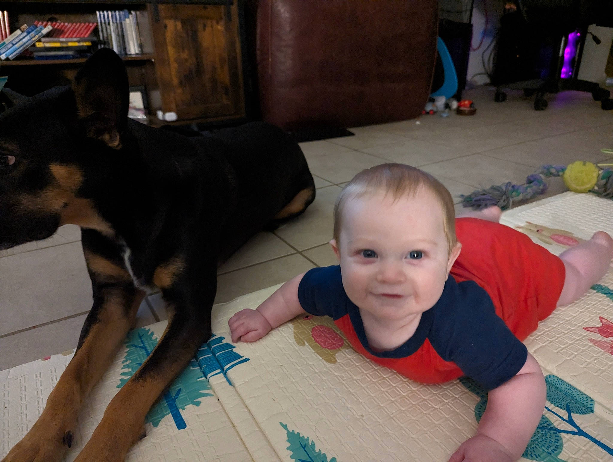 Jasper joined the competition — help win amazing prizes! baby, baby_toddler_clothing, bookcase, carnivore, chair, child, companion_dog, dog, dog_breed, floor, flooring, fun, guard_dog, happy, joy, person, room, sitting, smile, toddler