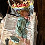 Aurora is registered to the contest to win money with this photo: baby, crib, blanket, plush_toy, wooden_floor, sleeping, infant, pacifier, toy, bedding, child, home_interior, soft_toy, cute, resting, furniture, person, sleep, cozy, nursery
