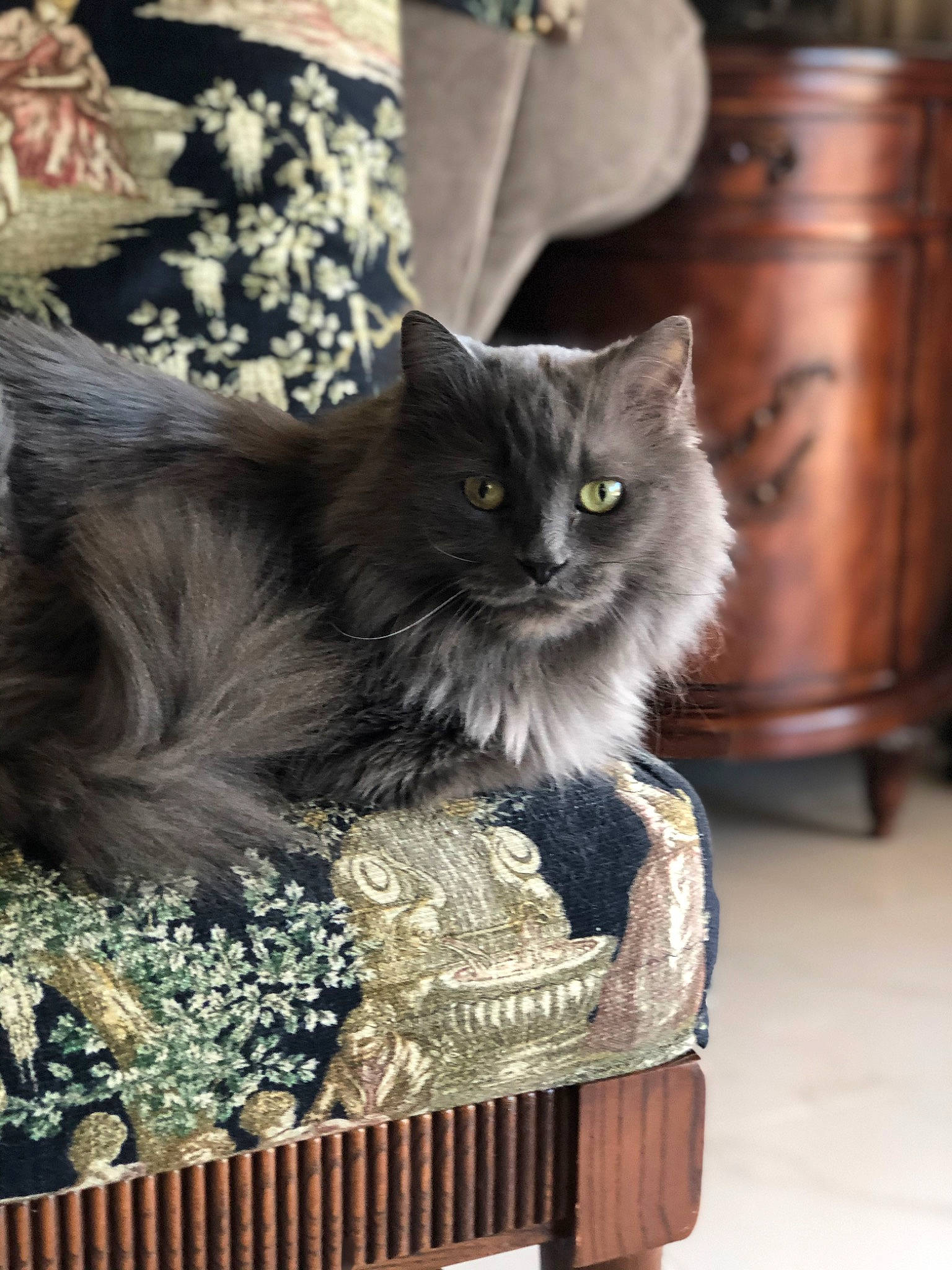 Smokey