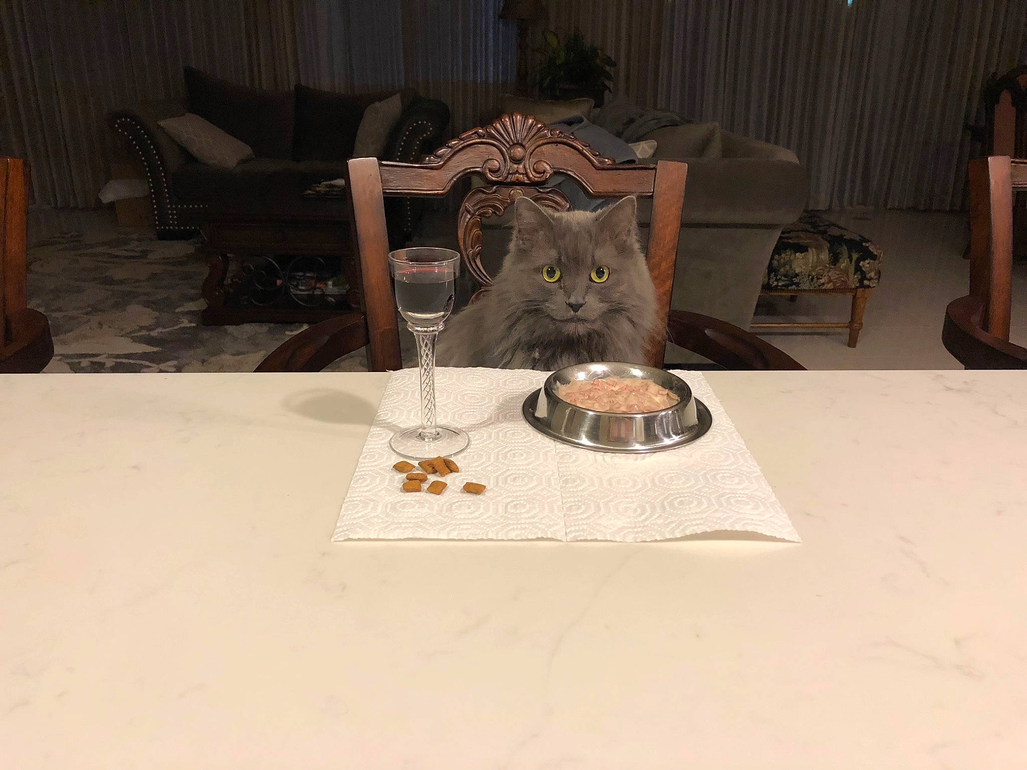 Smokey is registered to the contest to win money with this photo: cat, chair, drinkware, event, fashion_accessory, fawn, felidae, flooring, furniture, glass, linens, metal, serveware, small_to_medium_sized_cats, stemware, table, tablecloth, tableware, whiskers, wood