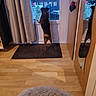 dog, indoor, wooden_floor, rug, mirror, glass_door, balcony, curtains, reflection, pet, animal, small_dog, standing, waiting, home, cozy, furniture, window, table, chair