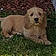 Bilbo