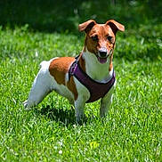 Marty joined the competition — help win amazing prizes!