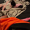 Lulu joined the competition — help win amazing prizes! bed, black_cat, blanket, blurred, casual, cat, clothing, cozy, fabric, foot, indoor, low_light, phone_screen, pile, pile_of_clothes, pink, playback_controls, relaxing, resting, soft