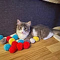 Sylvie M.