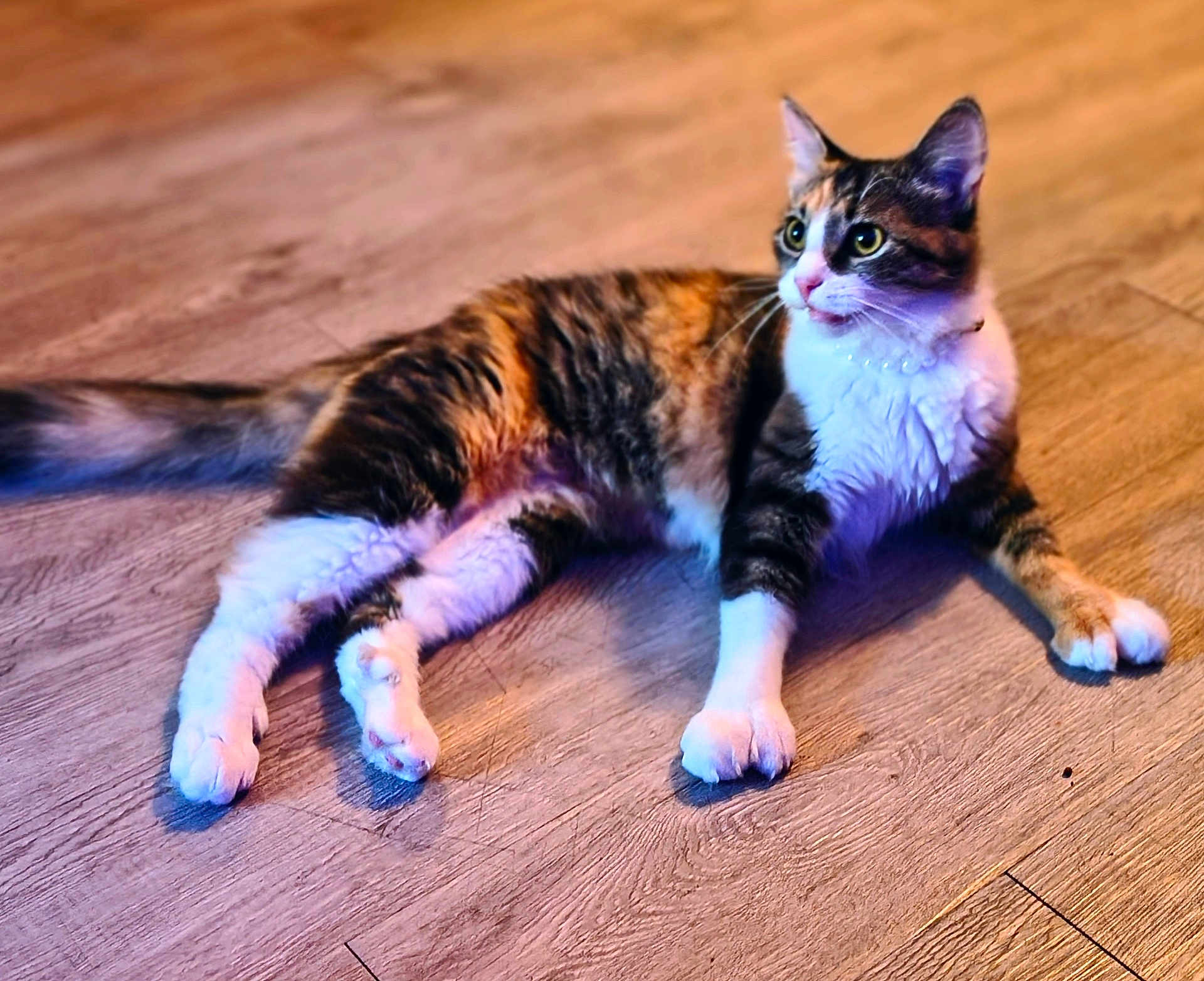 Penelope Rose