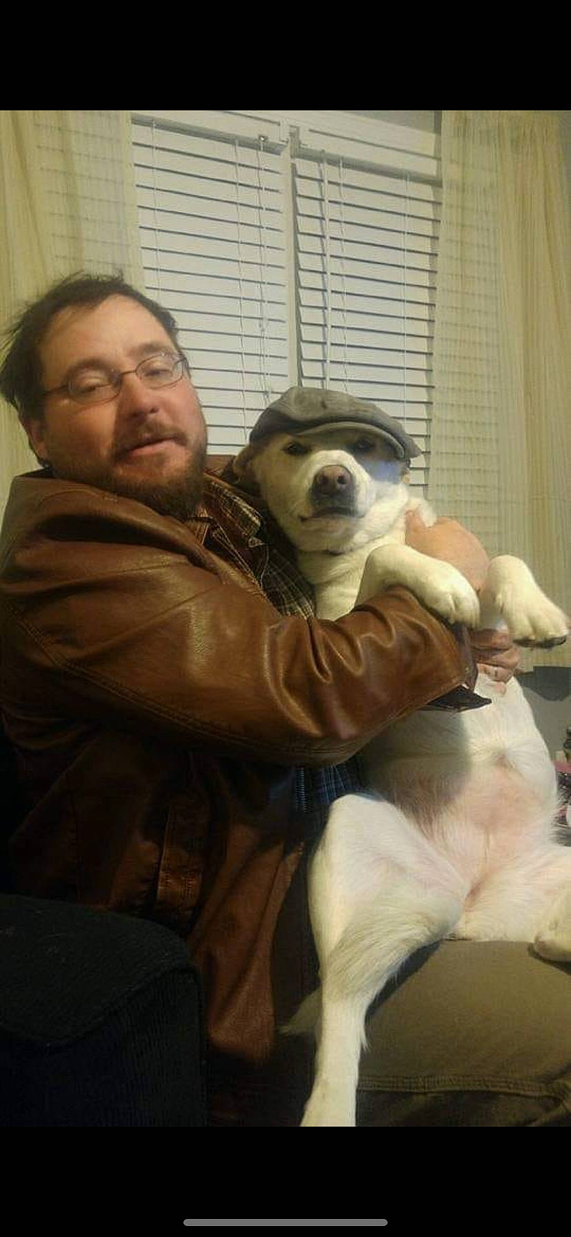 Honie is registered to the contest to win money with this photo: canidae, carnivore, companion_dog, dog, dog_breed, fawn, mammal, puppy, puppy_love, snout, sporting_group, vertebrate