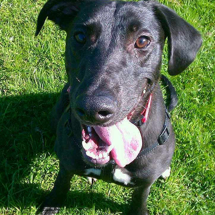 OI joined the competition — help win amazing prizes!