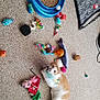 cat, toy, carpet, orange_cat, white_cat, playful, pet, indoor, animal, colorful, feather_toy, ball_toy, scratching_toy, plush_toy, cat_toys, feline, curious, floor, pet_play, domestic_cat