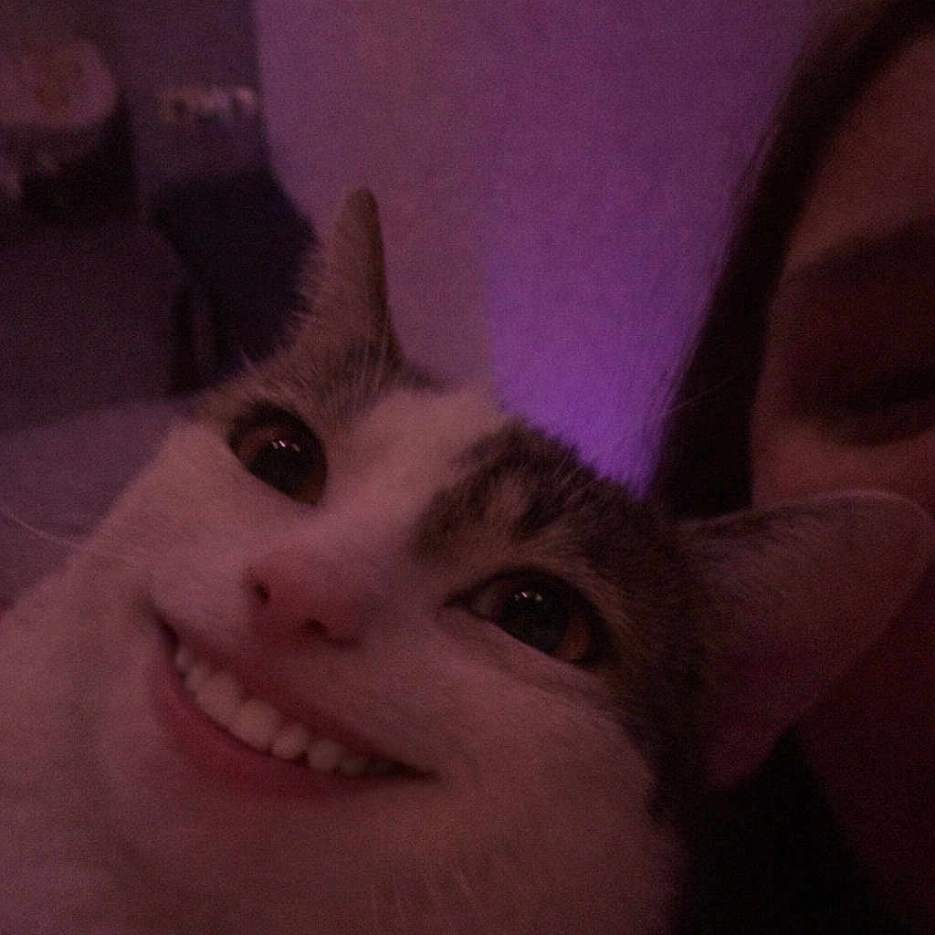 Lucy Goosey joined the competition — help win amazing prizes! animal, cat, close_up, cute, dark, digital_edit, ears, expression, face, funny, fur, human_teeth, indoor, person, pet, portrait, purple_light, smile, weird, whiskers