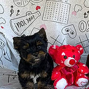 Bear joined the competition — help win amazing prizes! puppy, dog, toy, teddy_bear, red, black, brown, cute, fluffy, love, hearts, background, fabric, pattern, indoor, small, pet, animal, playful, adorable