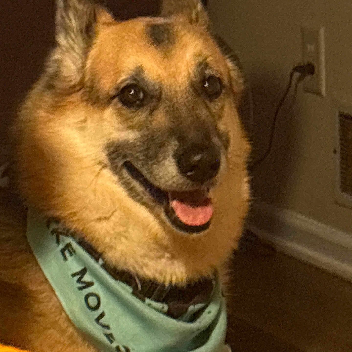 Bailey
