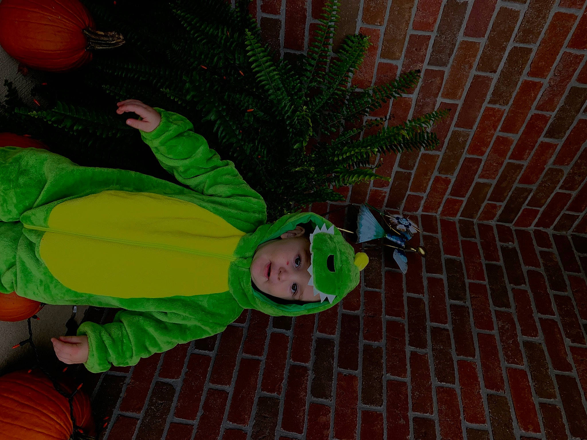 Ramsey joined the competition — help win amazing prizes! brick, brickwork, costume, event, fun, garden, grass, headwear, holiday, lawn_ornament, leaf, leisure, organism, person, plant, road_surface, terrestrial_plant, tree