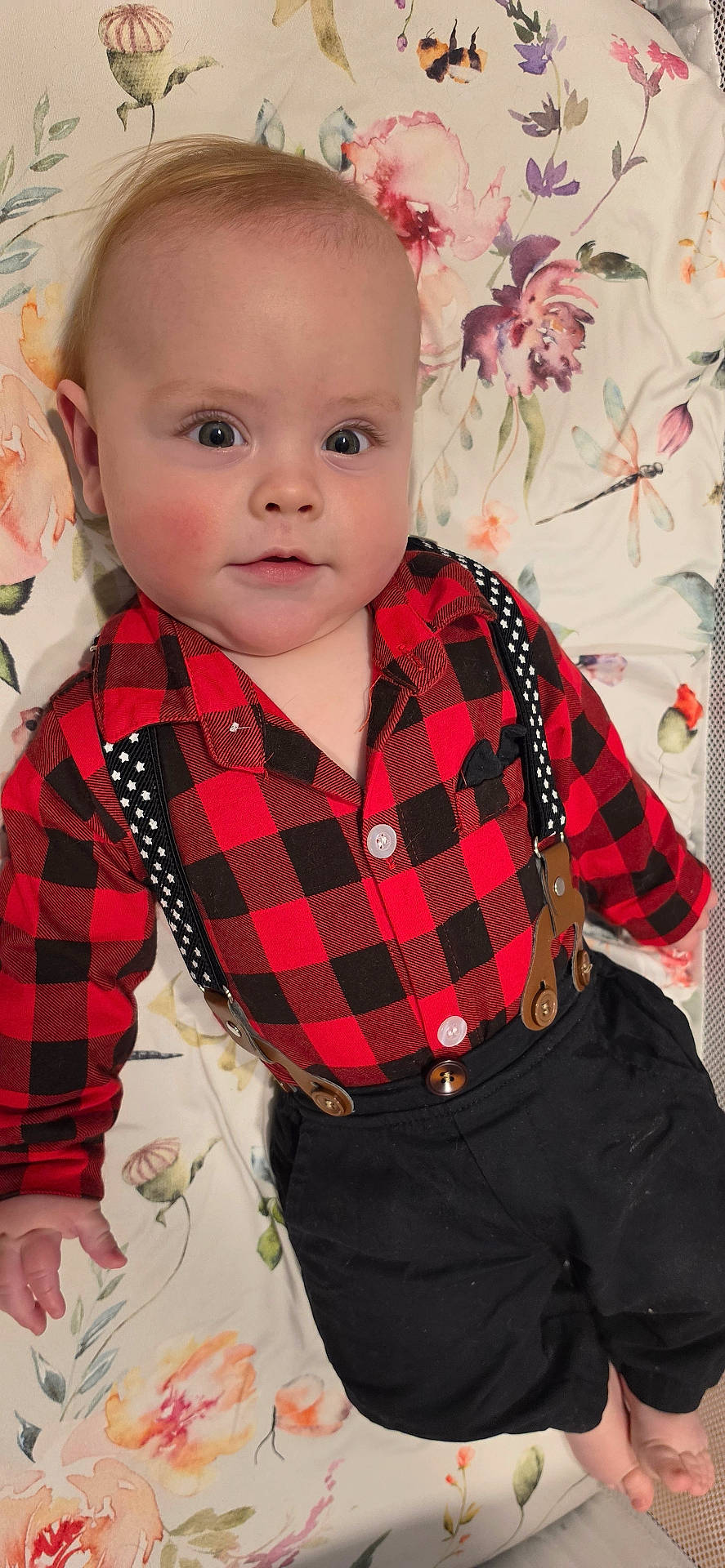 baby, baby_clothing, black_pants, child, curious_expression, cute, face, feet, floral_blanket, hands, indoors, infant, light_skin, lying_down, portrait, red_checkered_shirt, rosy_cheeks, short_hair, smiling, suspenders