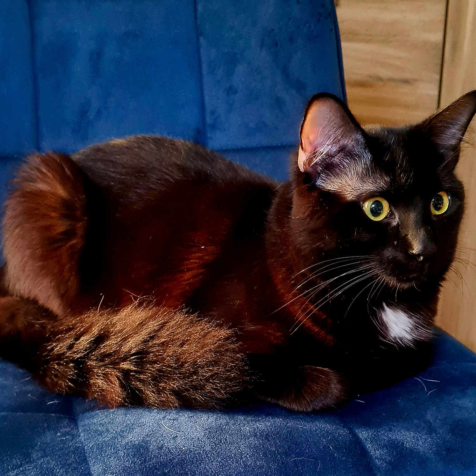 Salem