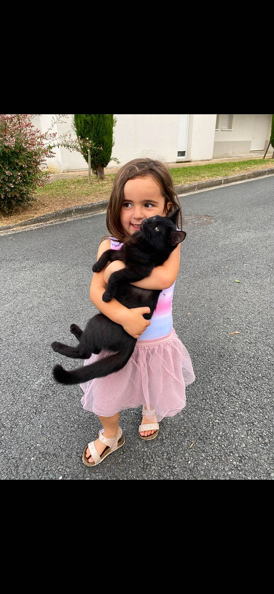 Assia participe au concours pour gagner de l'argent avec cette photo : asphalt, cat, eye, face, flash_photography, foot, formal_wear, fun, gesture, grass, happy, head, leisure, magenta, person, pink, plant, sandal, shoe, smile
