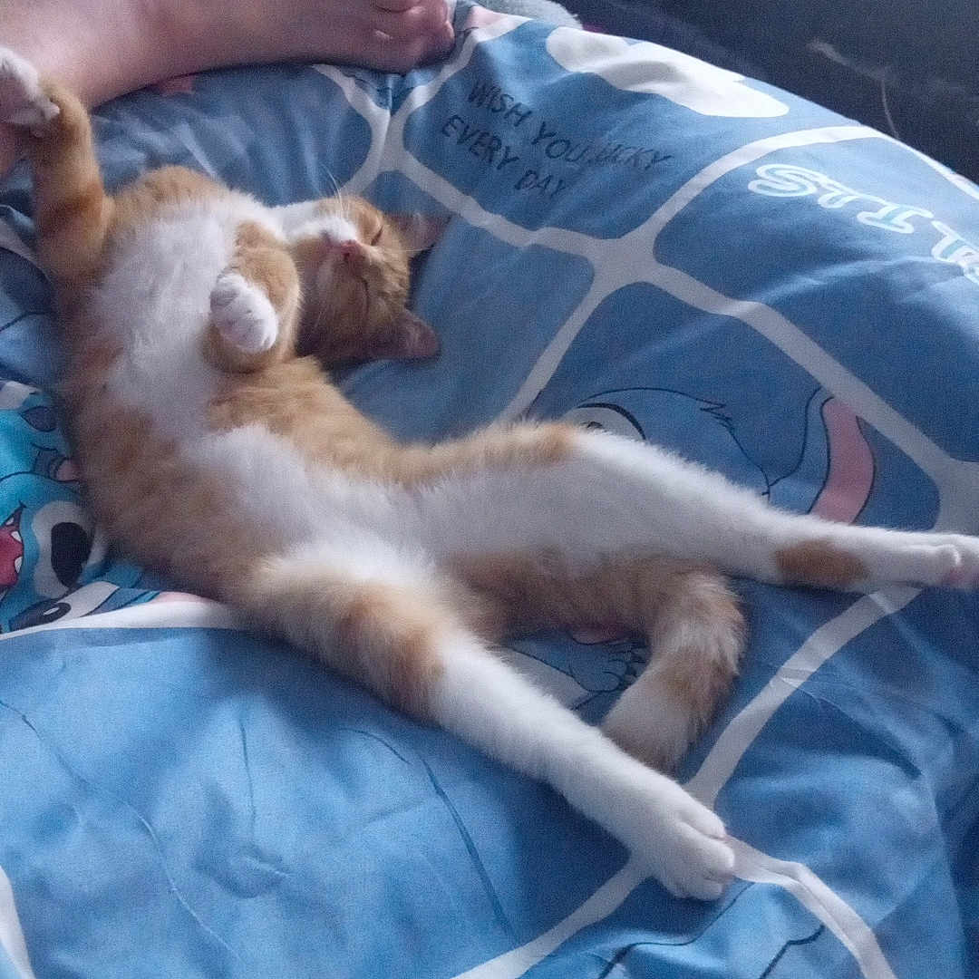 Caramel