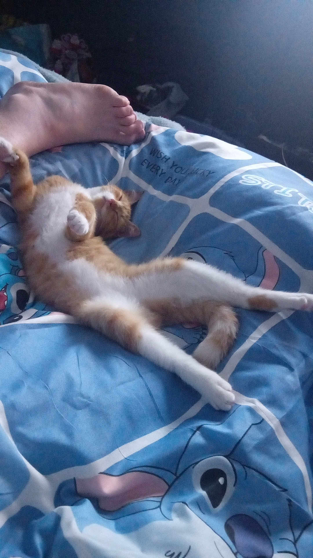 Caramel