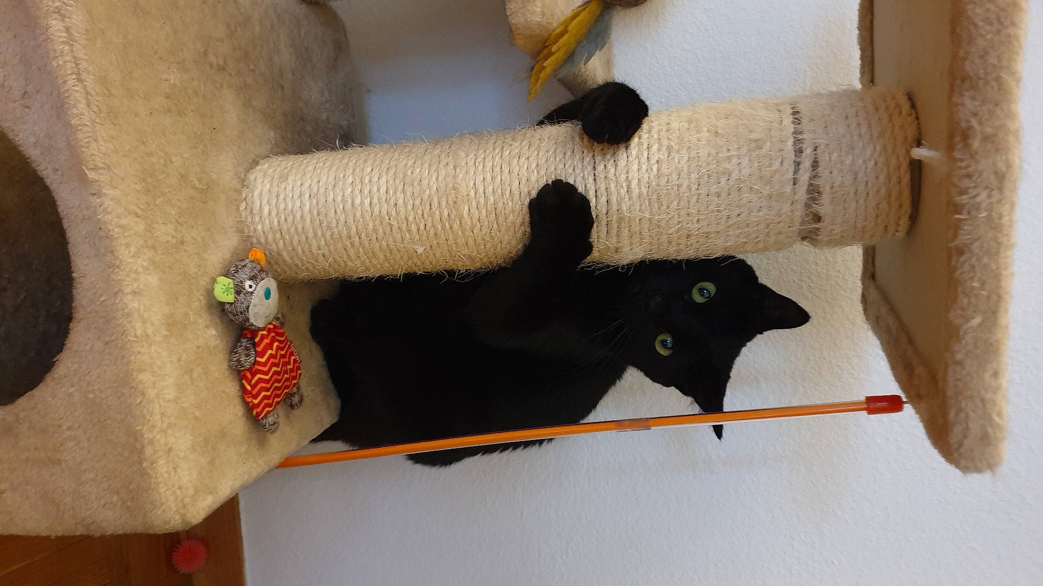 Ondine a rejoint le concours — aidez-le/la à gagner de superbes lots ! room, textile, thread, wool