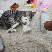 Hermes joined the competition — help win amazing prizes! cat, kitten, tabby, striped_fur, sleeping, cuddling, stuffed_animal, bunny, toy, carpet, rug, playroom, pink_dress, sock, human_foot, indoor, floor, cozy, cute, pet