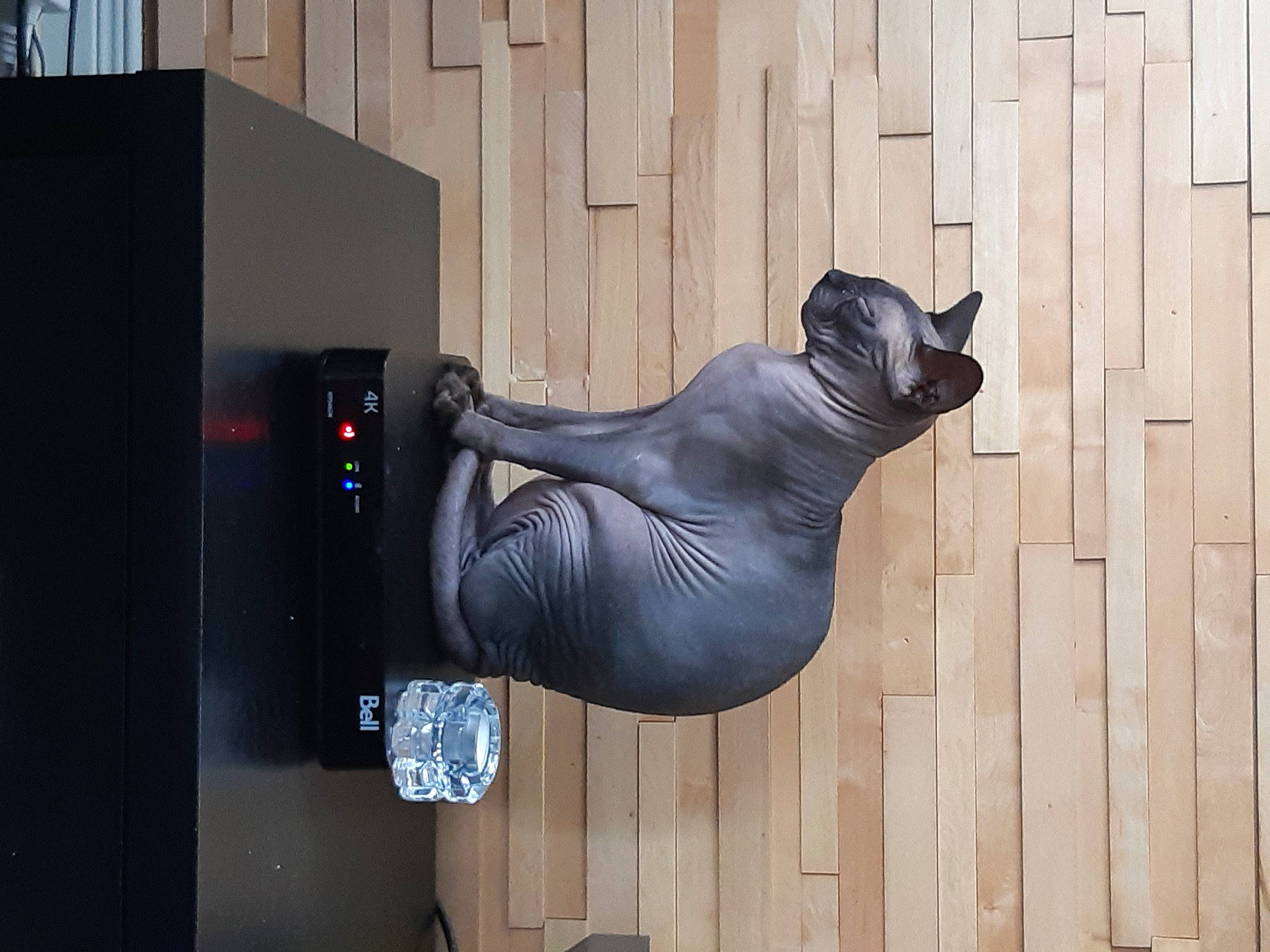 Gollum a rejoint le concours — aidez-le/la à gagner de superbes lots ! fictional_character, marine_mammal, sculpture