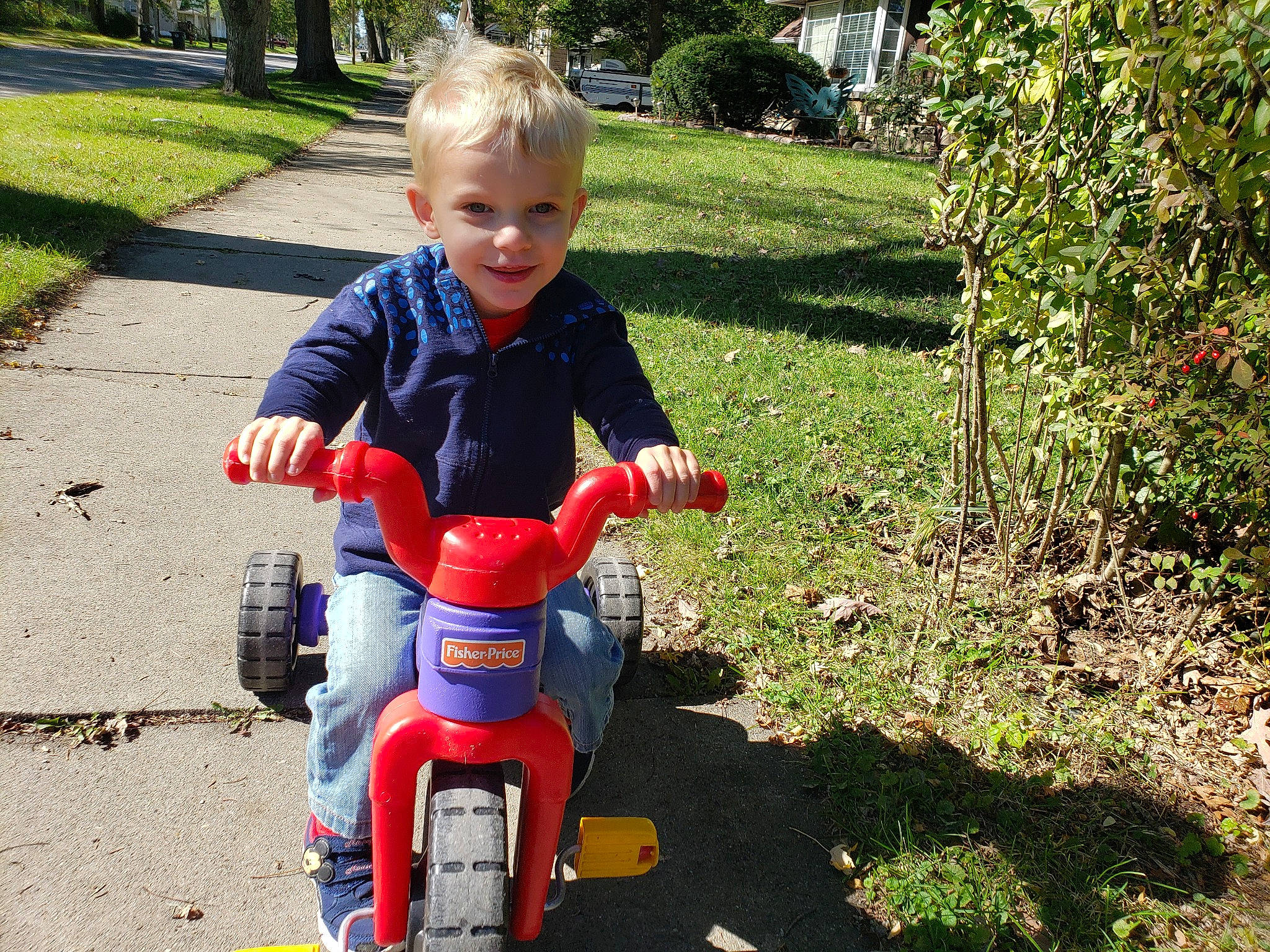 James is registered to the contest to win money with this photo: baby, baby_toddler_clothing, bicycle, bicycle_accessory, child, electric_blue, grass, joy, people_in_nature, person, plant, recreation, riding_toy, sitting, smile, soil, tire, toddler, toy, tree